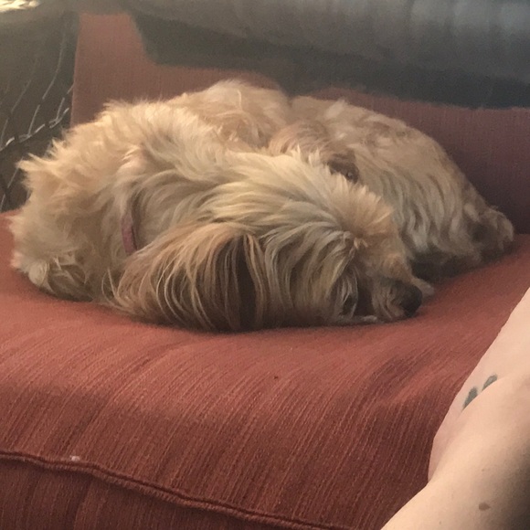 Meet your Posher, M - Picture 1 of 1